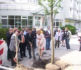 Islamischer Verein pflanzt einen Baum